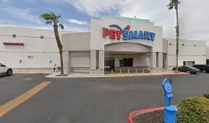 PetSmart Dog Training