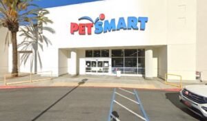 PetSmart Dog Training