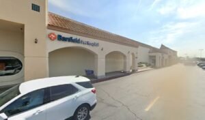 PetSmart Dog Training