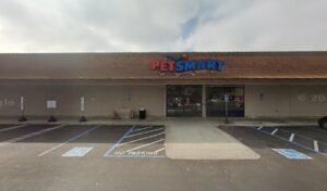 PetSmart Dog Training