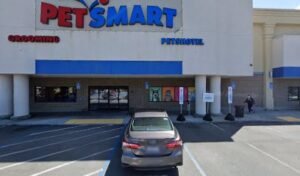 PetSmart Dog Training