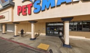 PetSmart Dog Training