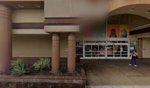 PetSmart Dog Training