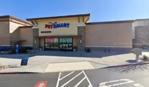 PetSmart Dog Training