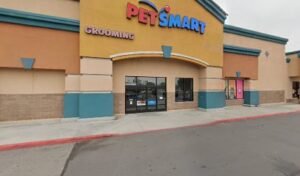 PetSmart Dog Training
