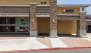 PetSmart Dog Training