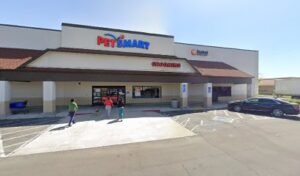 PetSmart Dog Training