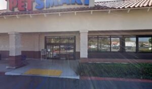 PetSmart Dog Training