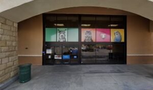PetSmart Dog Training