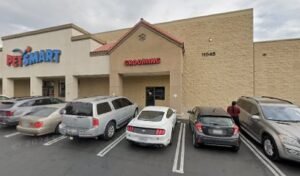 PetSmart Dog Training