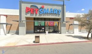 PetSmart Dog Training