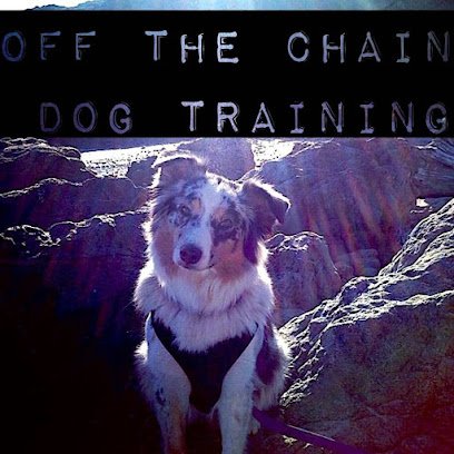 Off The Chain Dog Training