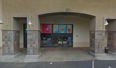 PetSmart Dog Training