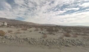 The Coachella Valley Dog Club