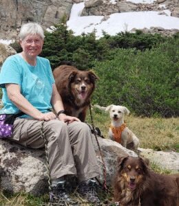 PAWSitive Approach L.L.C. Dog Training