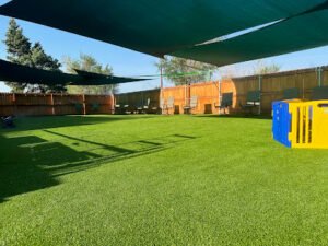 Terroux Dog Training
