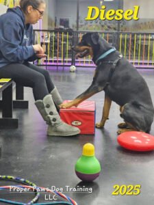 Proper Paws Dog Training LLC