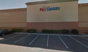 PetSmart Dog Training