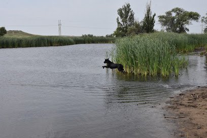 Rugged Retrievers