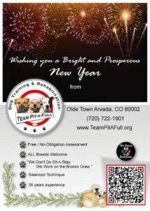 Team Pit-a-Full Dog Training & Rehabilitation