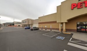 PetSmart Dog Training