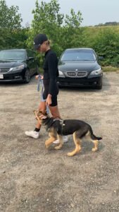 Whiskeyk9