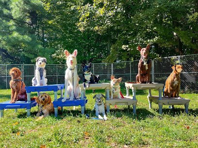 All That Canine LLC
