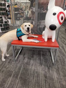 Joyful Paws Service Dogs