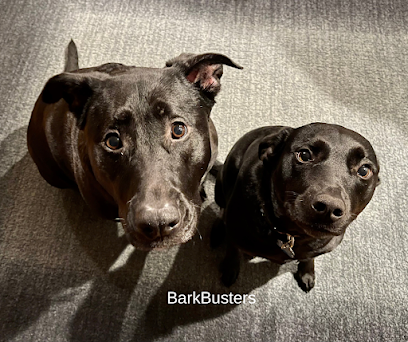 Bark Busters – Mike The Dog Trainer