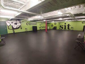 One Smart Dog Training & Behavior
