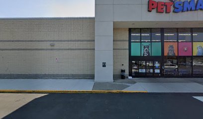 PetSmart Dog Training