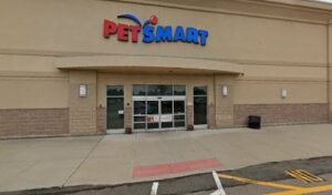 PetSmart Dog Training