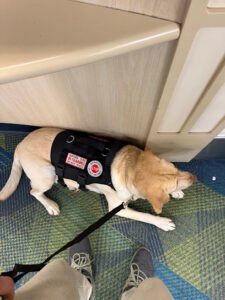 K9 Department