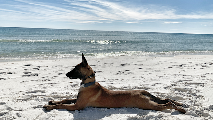 Off Leash K9 Training Emerald Coast