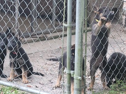 Top Gun K9 Training and Breeding