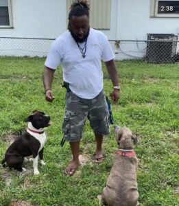 Carrier Pet Training