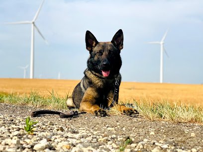 Advanced K9 Academy