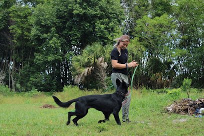 Idyllic Canine Training