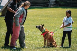 Grassroots K9 Sarasota
