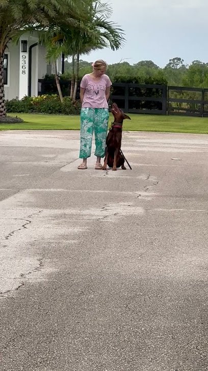 ALPHA DOG TRAINING