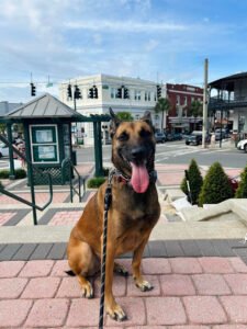 Central Florida K9