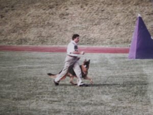 K9 Counselor