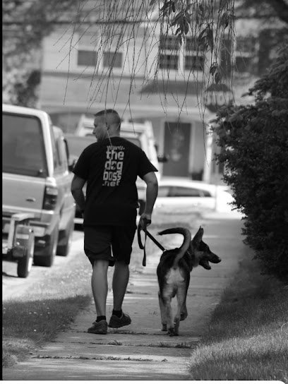 The Dog Boss LLC