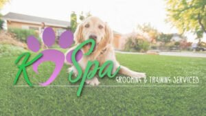 K9 Spa and Training Center