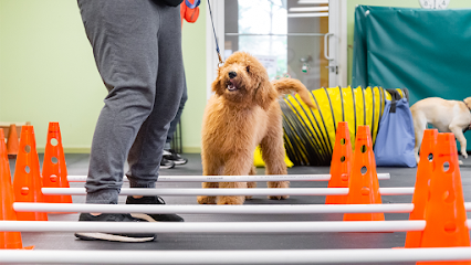 Lucky Dog Training Club