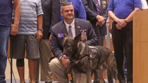 Valor Medical Service Dogs