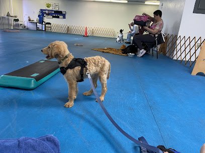 Dog Obedience Club of Lee County