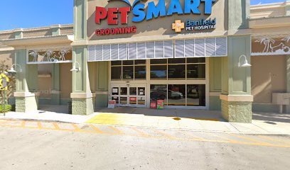 PetSmart Dog Training