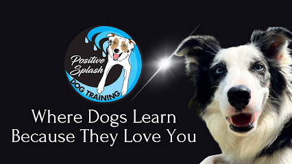 Positive Splash Dog Training