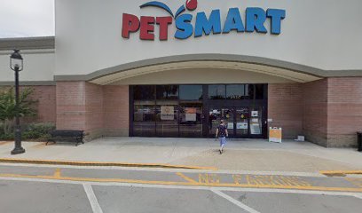 PetSmart Dog Training